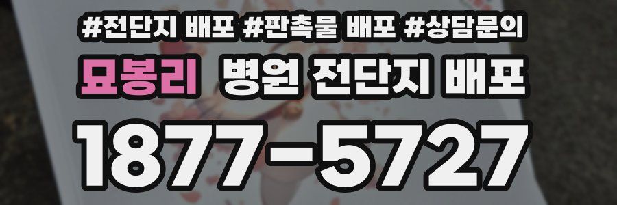 묘봉리 병원 전단지 배포
