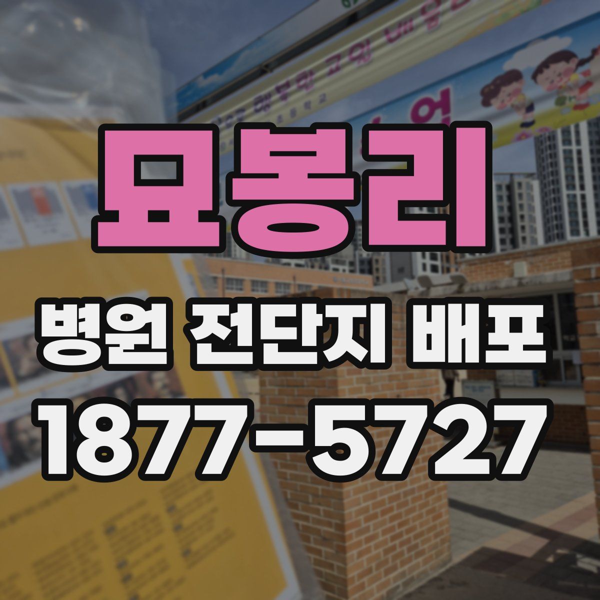 묘봉리 병원 전단지 배포