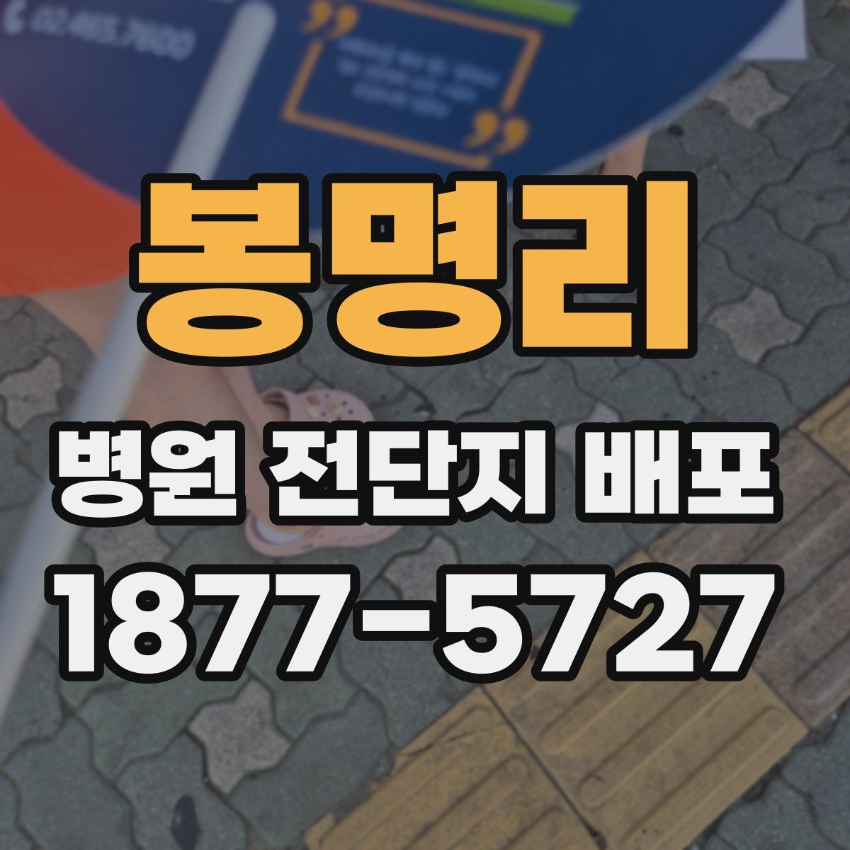봉명리 병원 전단지 배포