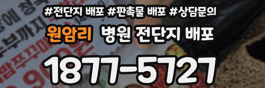 원암리 병원 전단지 배포