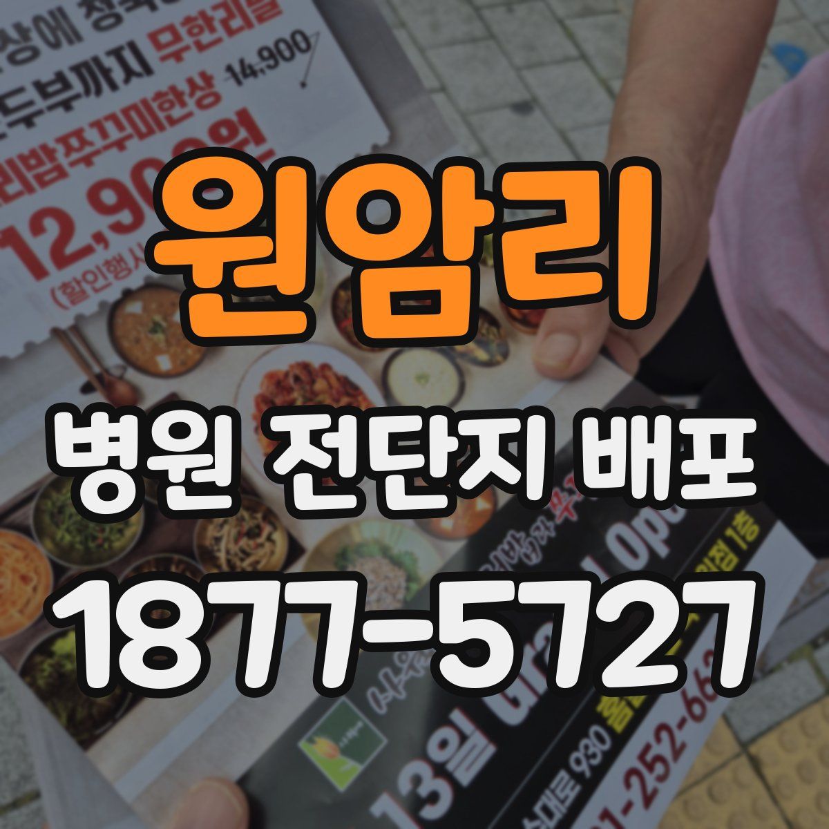 원암리 병원 전단지 배포