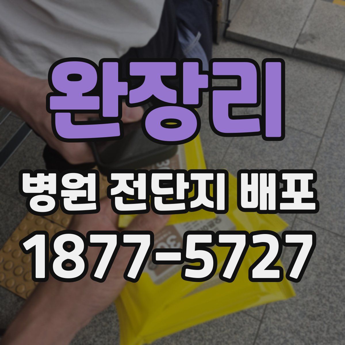 완장리 병원 전단지 배포