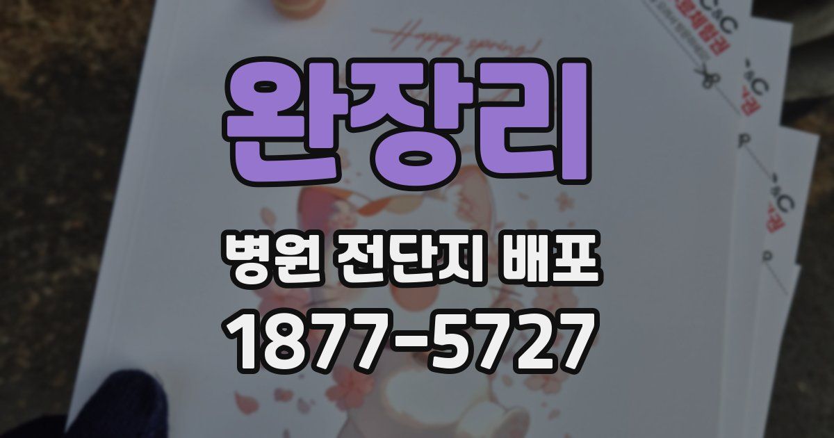완장리 병원 전단지 배포