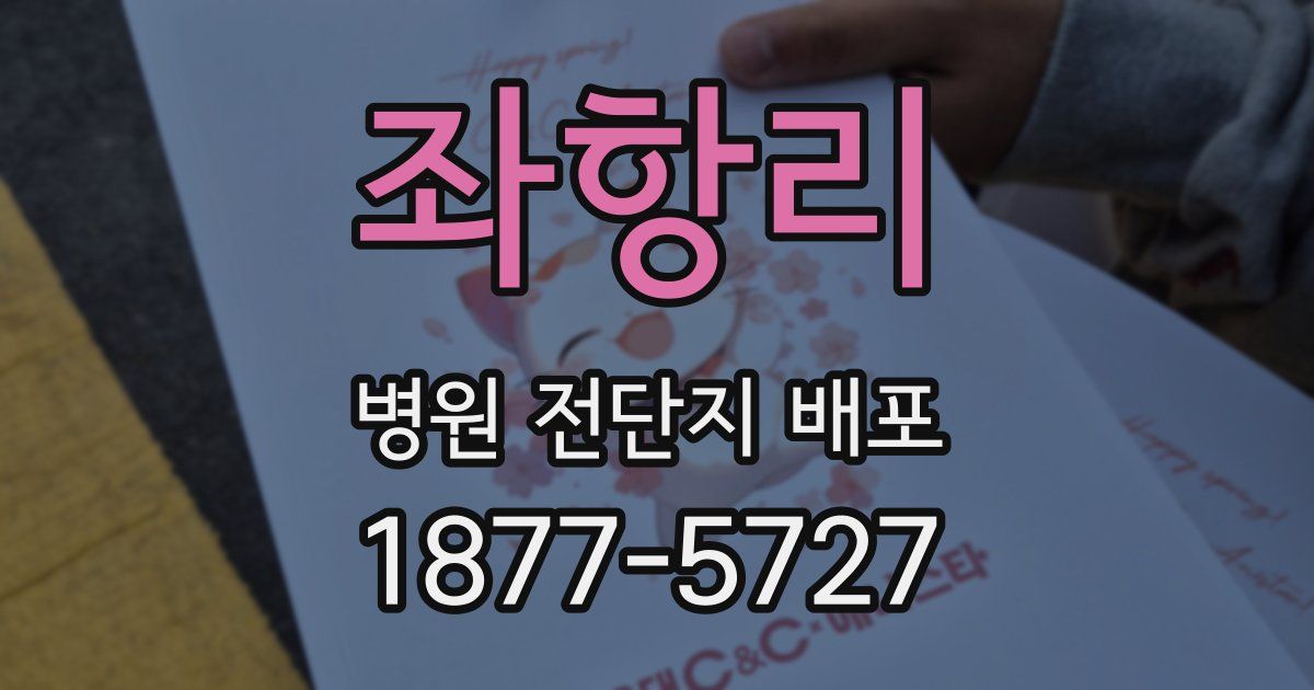 좌항리 병원 전단지 배포