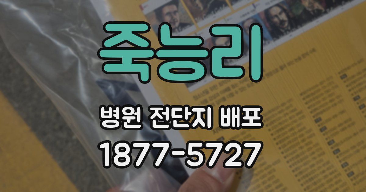 죽능리 병원 전단지 배포