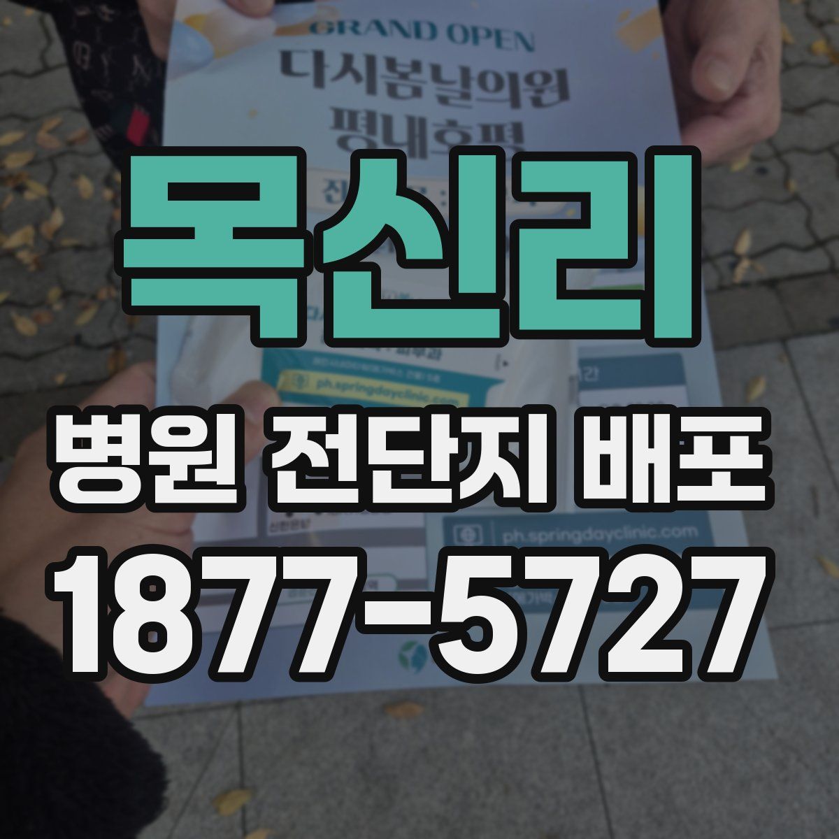 목신리 병원 전단지 배포