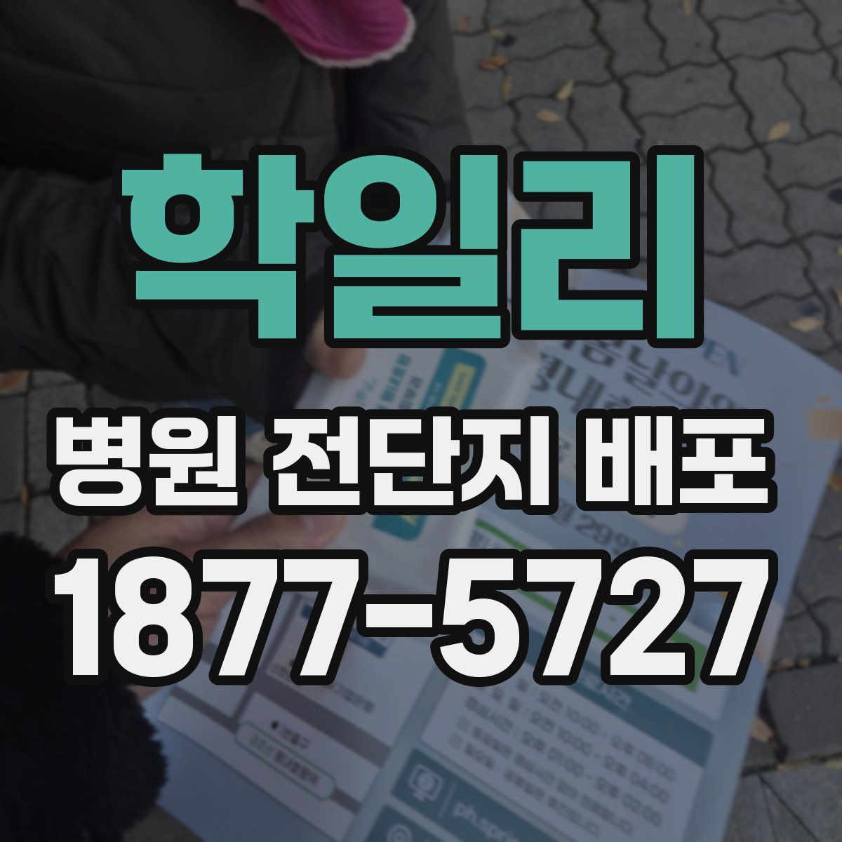 학일리 병원 전단지 배포