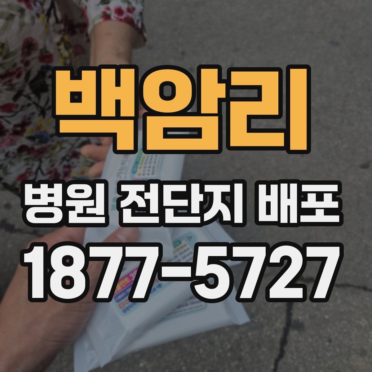백암리 병원 전단지 배포