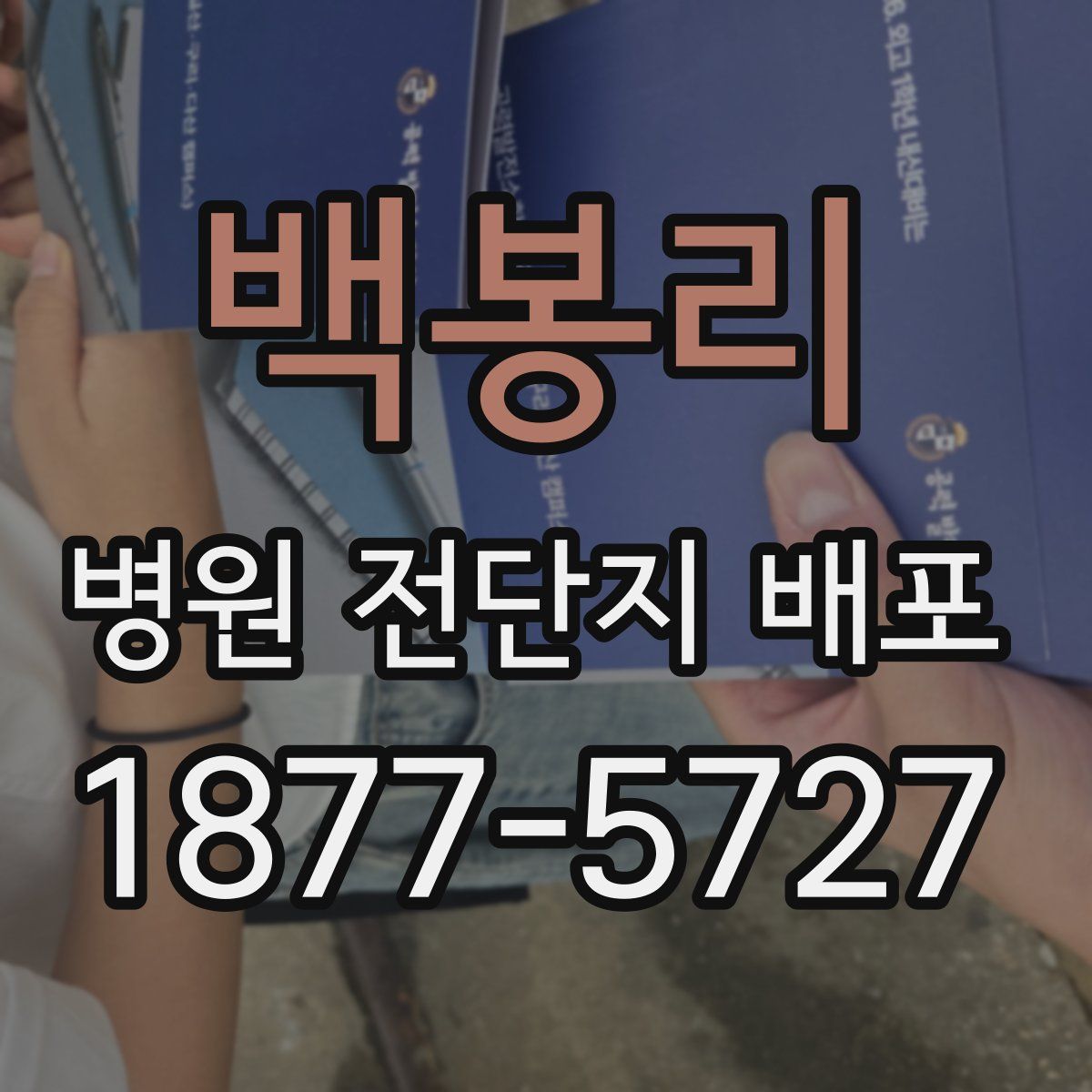 백봉리 병원 전단지 배포