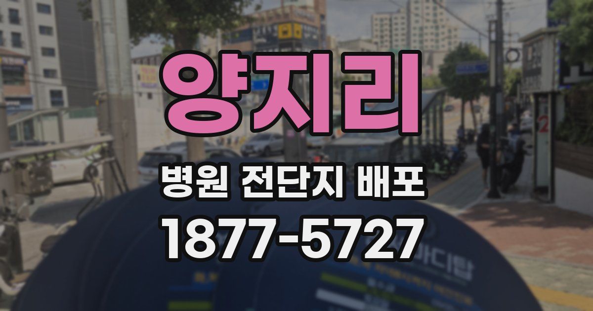 양지리 병원 전단지 배포