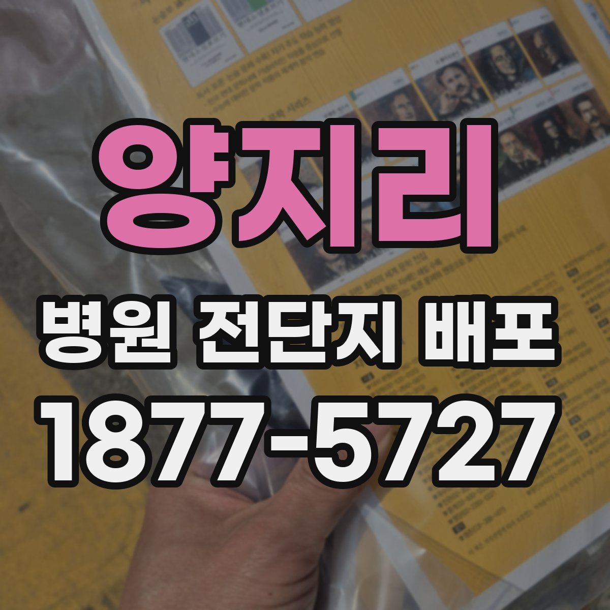 양지리 병원 전단지 배포
