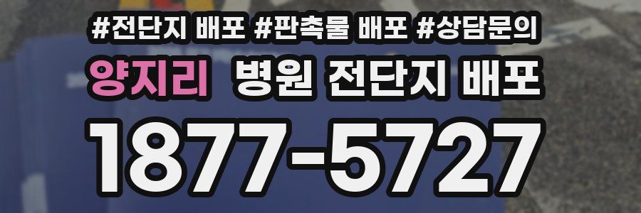 양지리 병원 전단지 배포