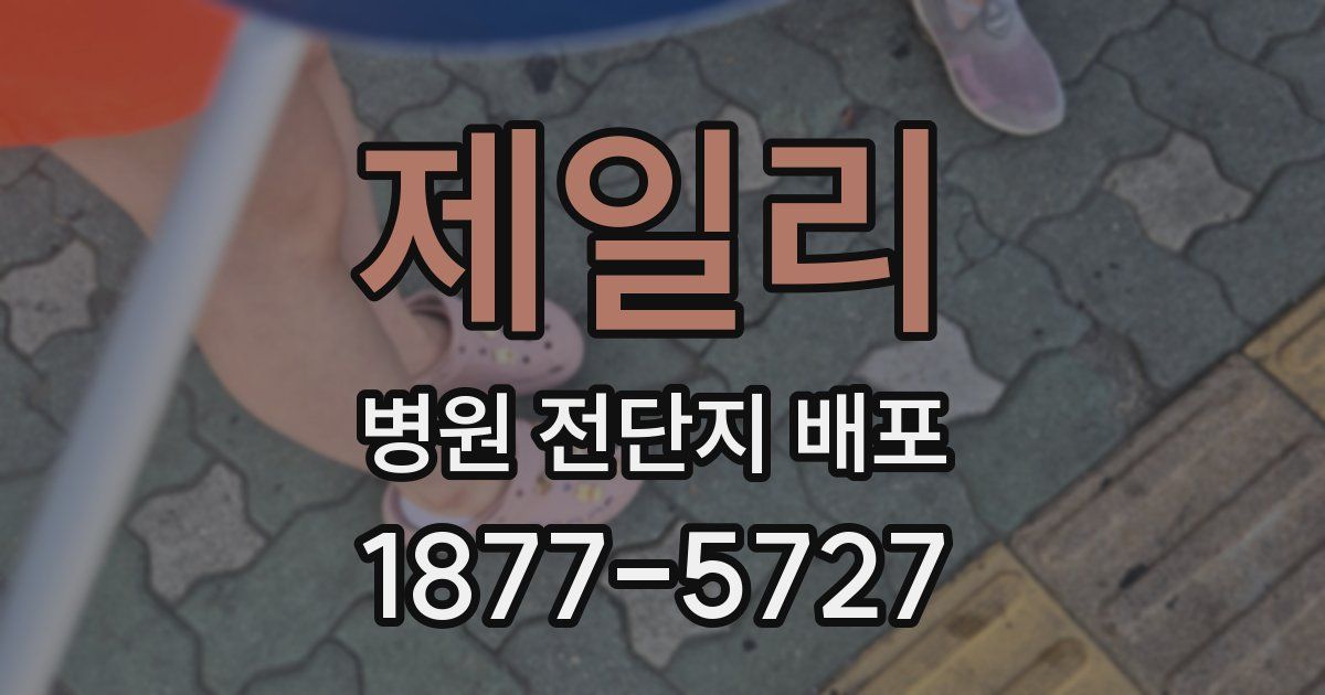 제일리 병원 전단지 배포