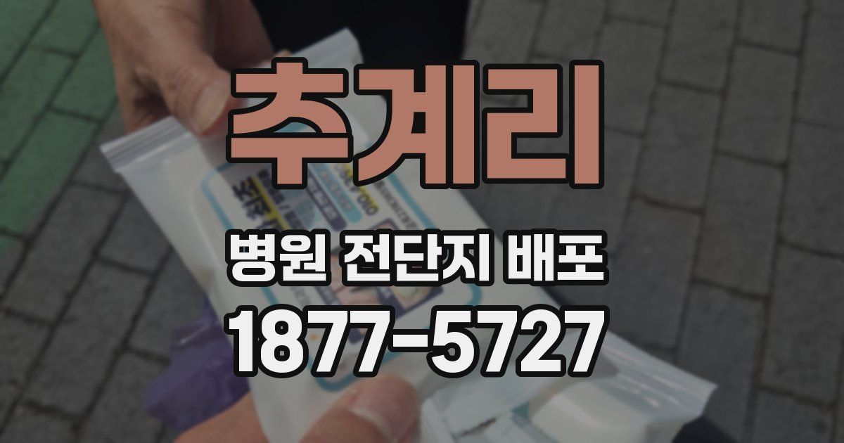 추계리 병원 전단지 배포