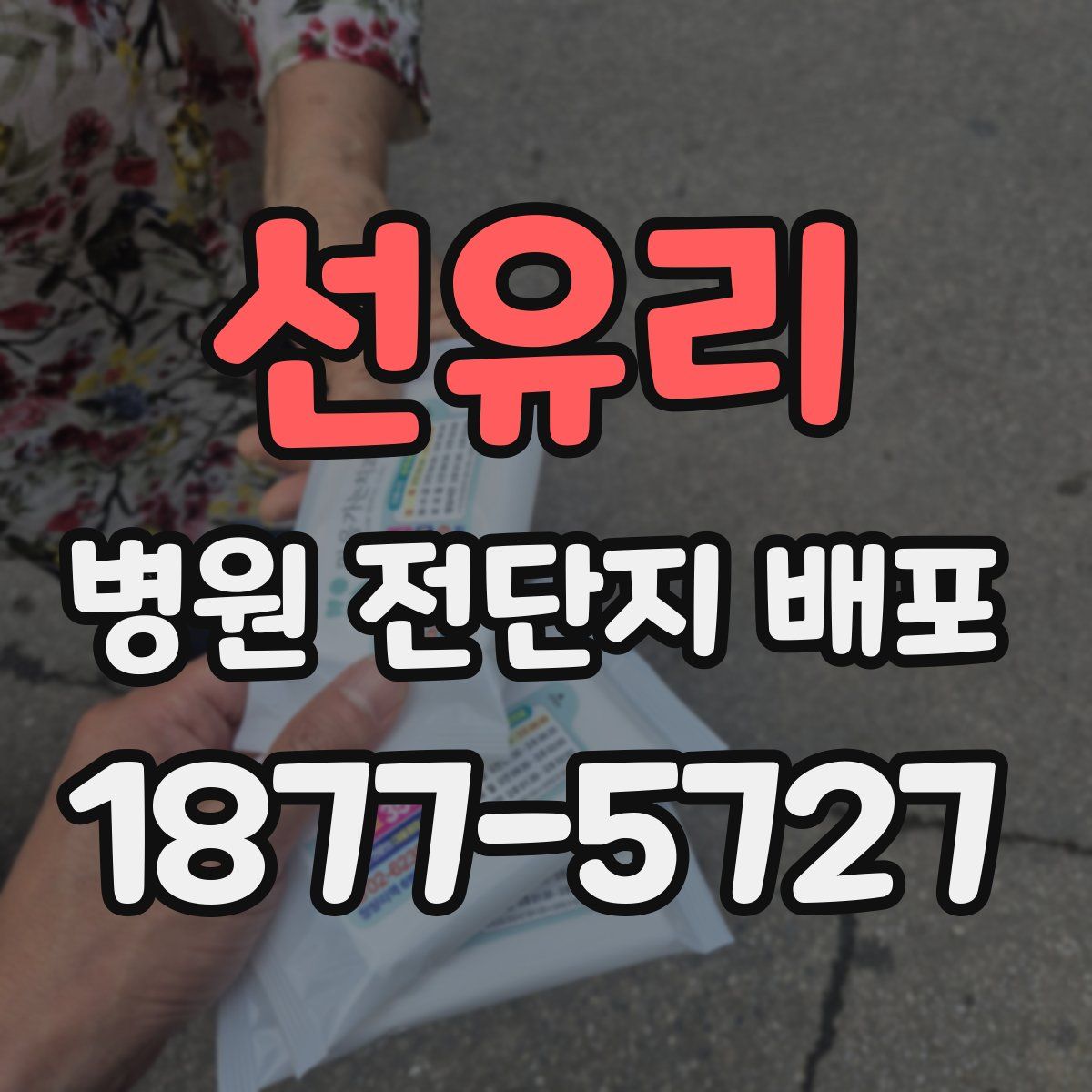 선유리 병원 전단지 배포