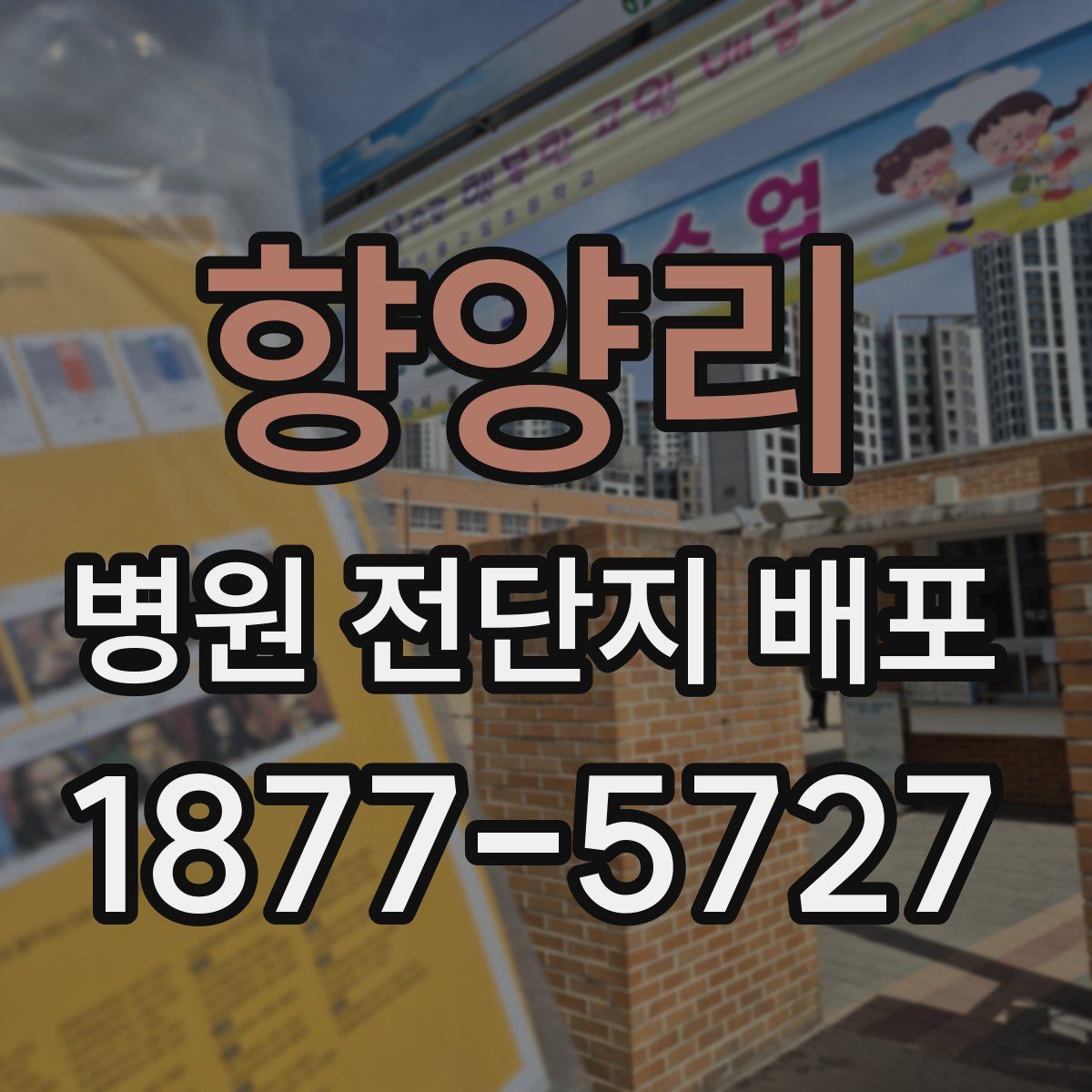 향양리 병원 전단지 배포