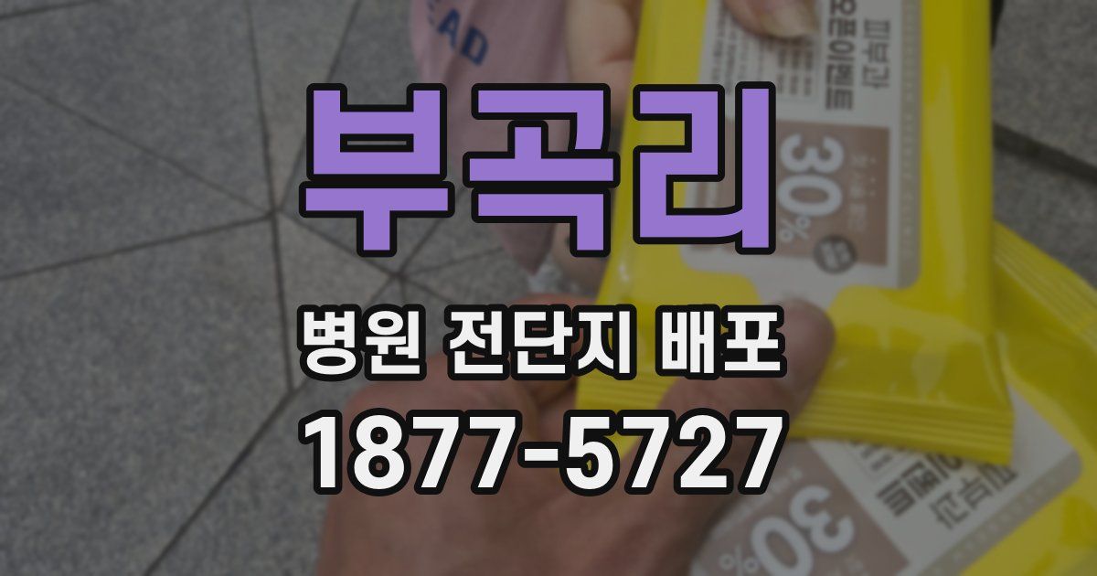 부곡리 병원 전단지 배포
