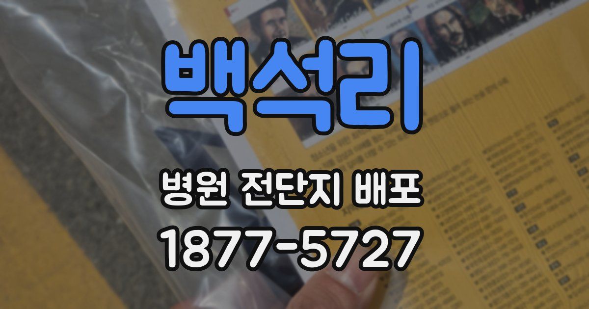 백석리 병원 전단지 배포