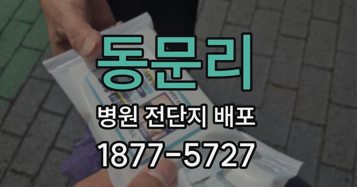 동문리 병원 전단지 배포