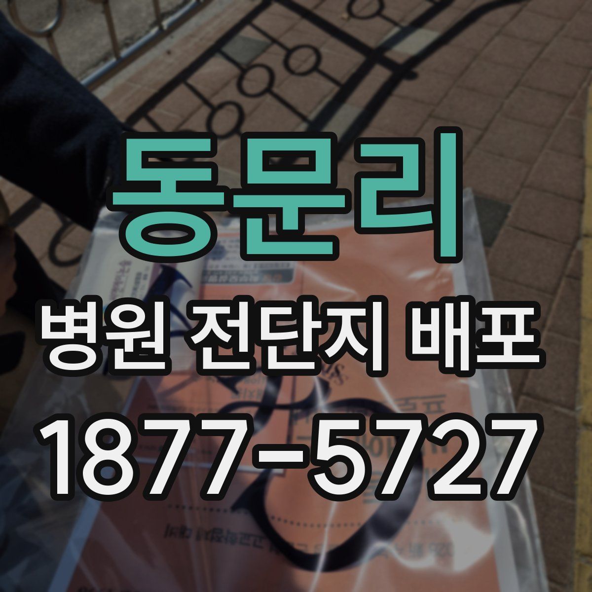 동문리 병원 전단지 배포