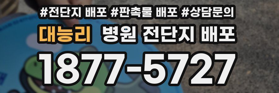 대능리 병원 전단지 배포