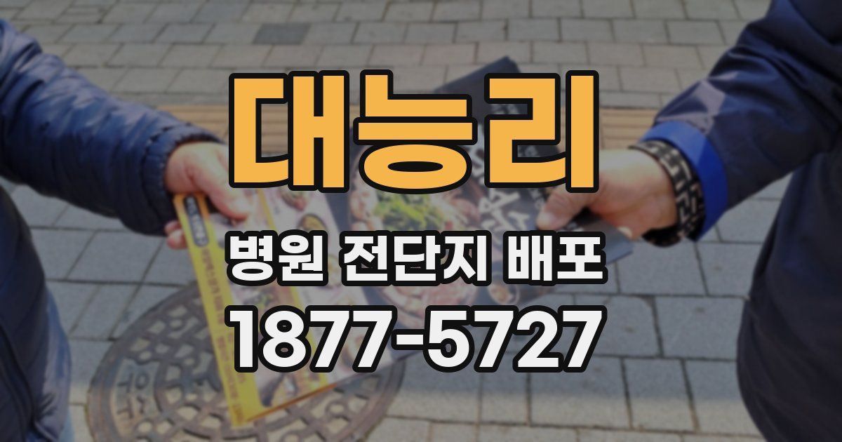 대능리 병원 전단지 배포