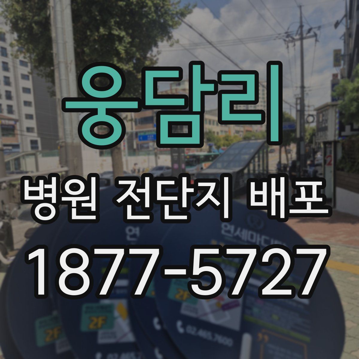 웅담리 병원 전단지 배포