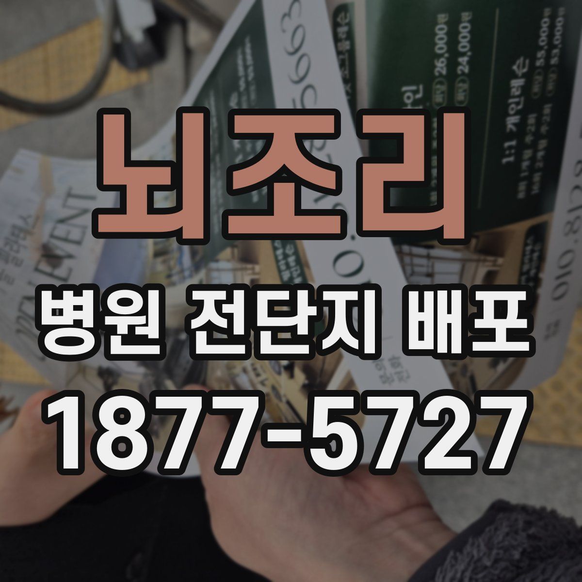 뇌조리 병원 전단지 배포