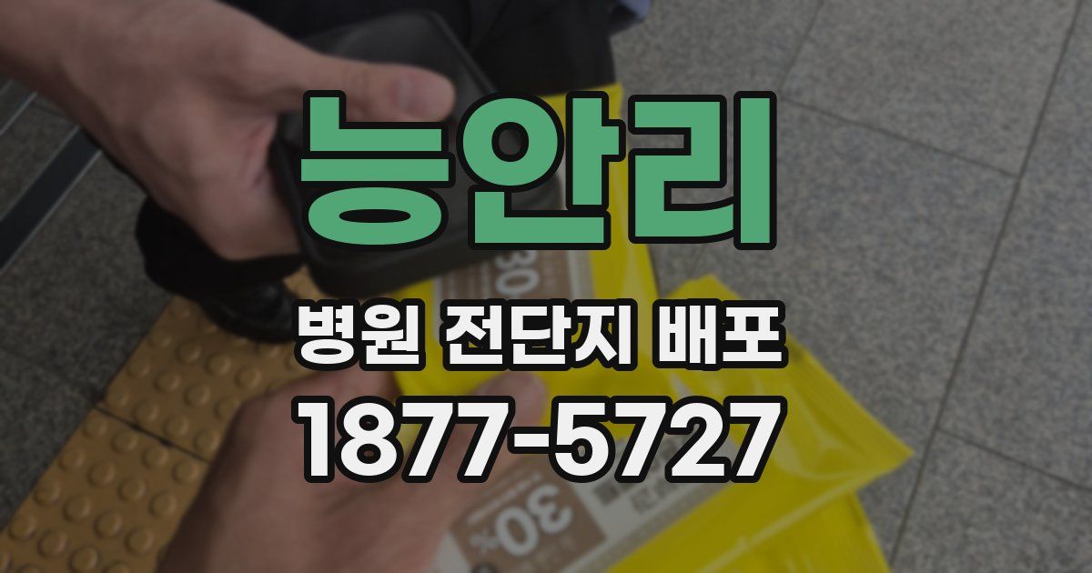 능안리 병원 전단지 배포
