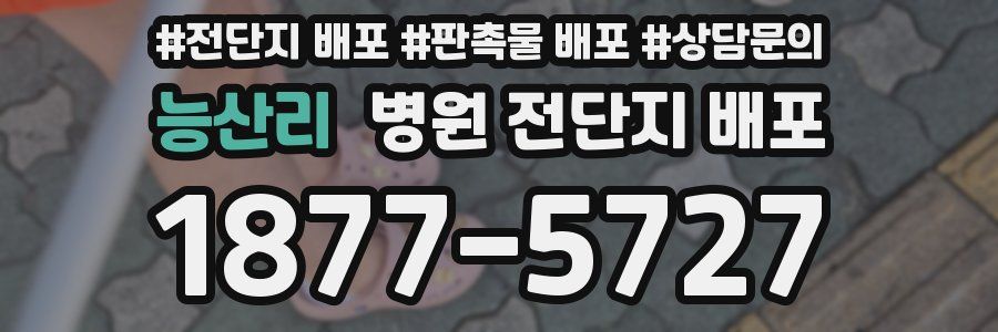 능산리 병원 전단지 배포