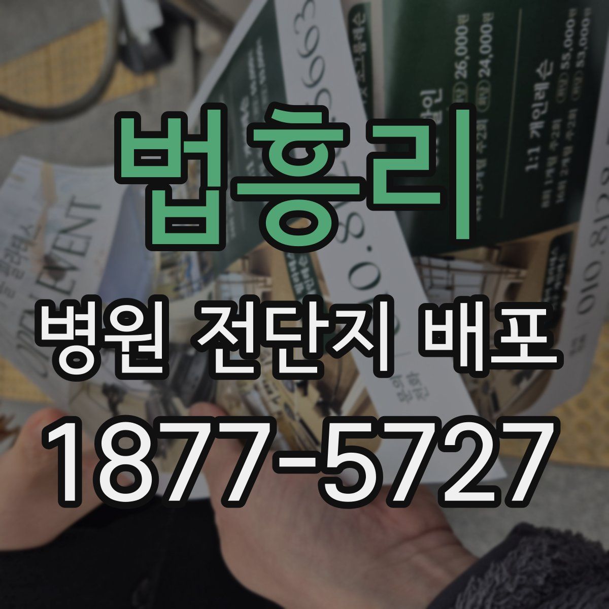 법흥리 병원 전단지 배포