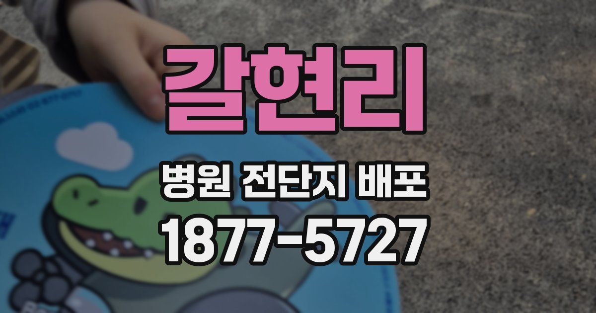 갈현리 병원 전단지 배포