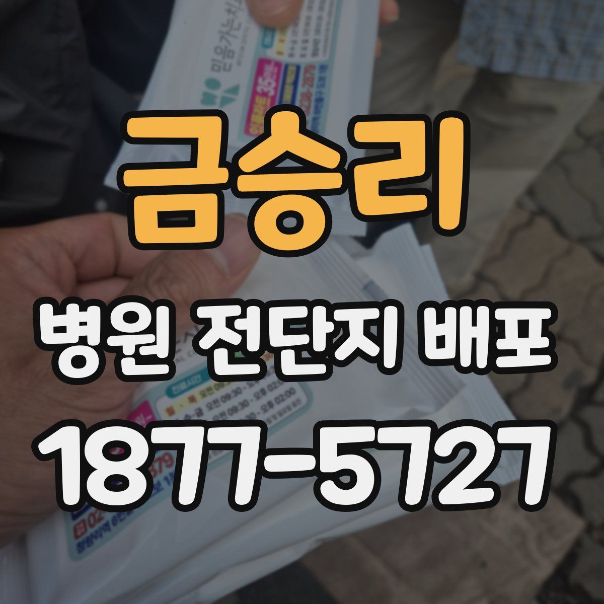 금승리 병원 전단지 배포