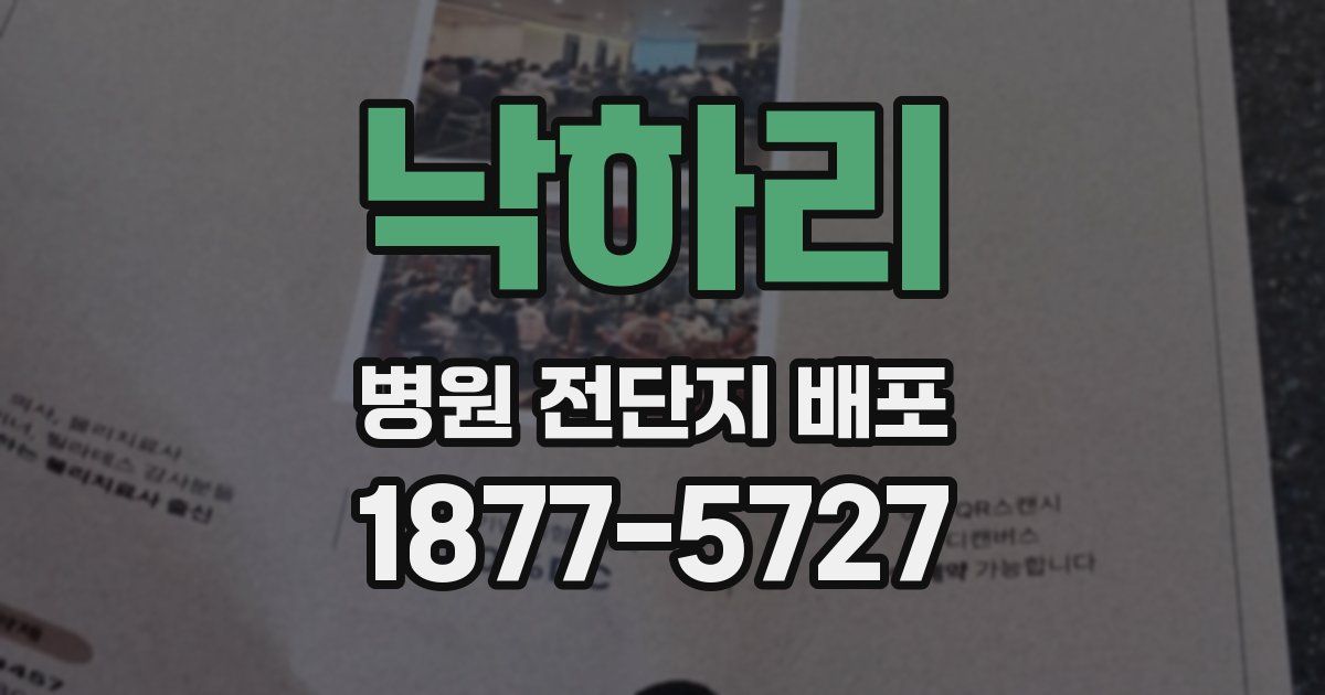 낙하리 병원 전단지 배포