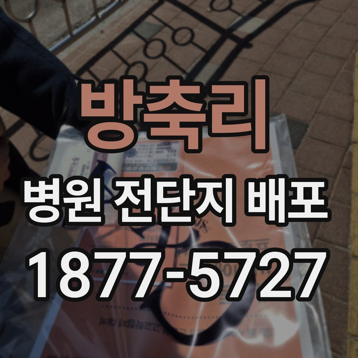 방축리 병원 전단지 배포