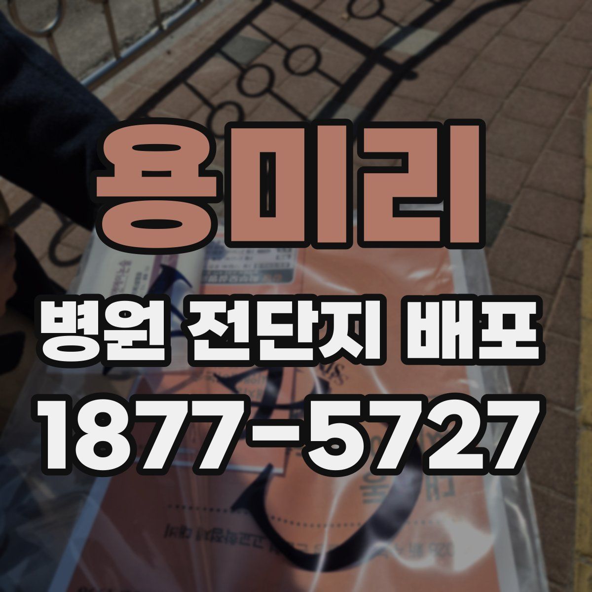 용미리 병원 전단지 배포