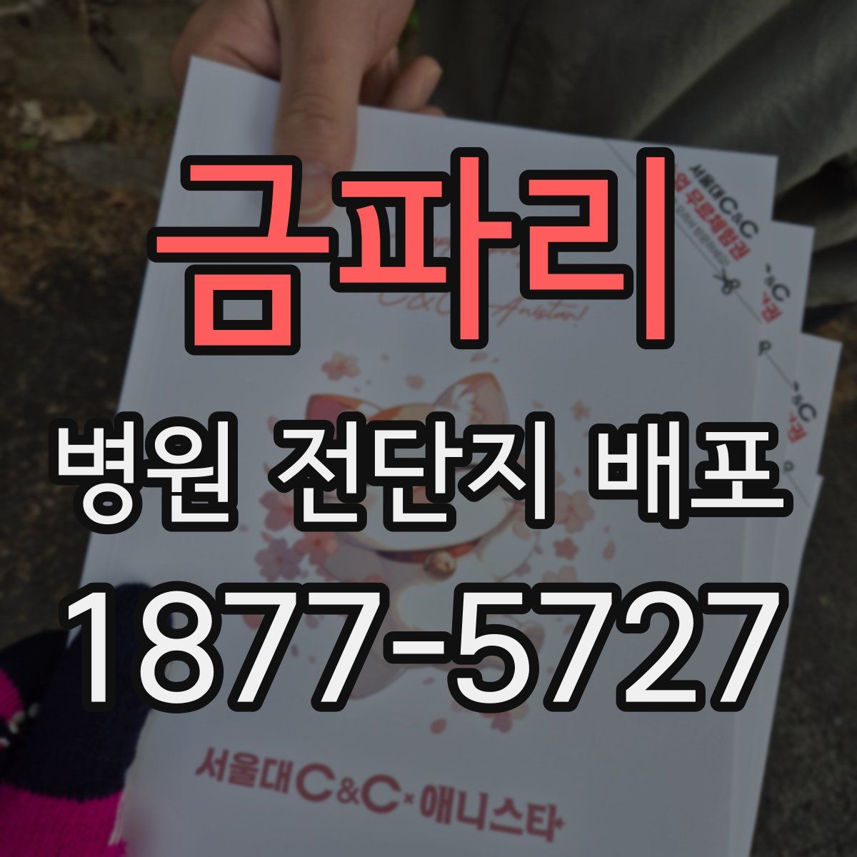금파리 병원 전단지 배포