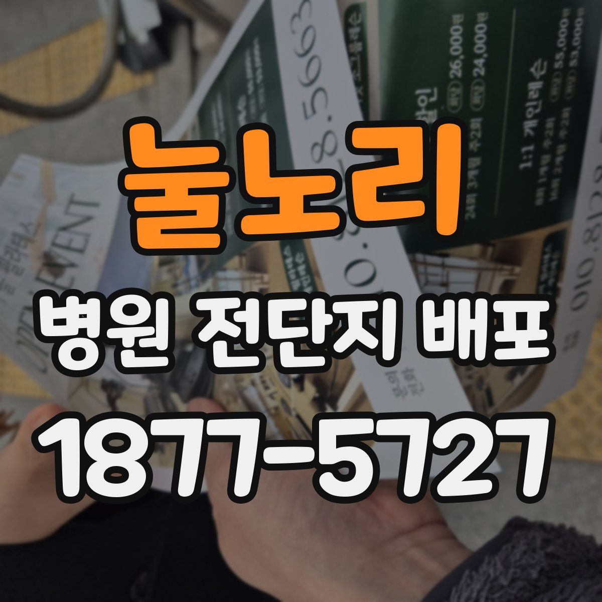 눌노리 병원 전단지 배포