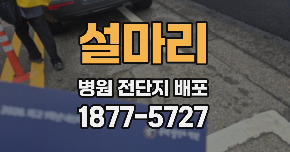 설마리 병원 전단지 배포