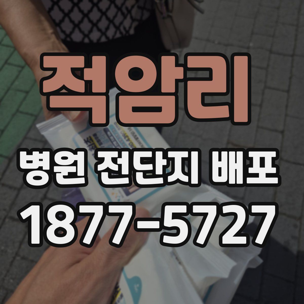 적암리 병원 전단지 배포