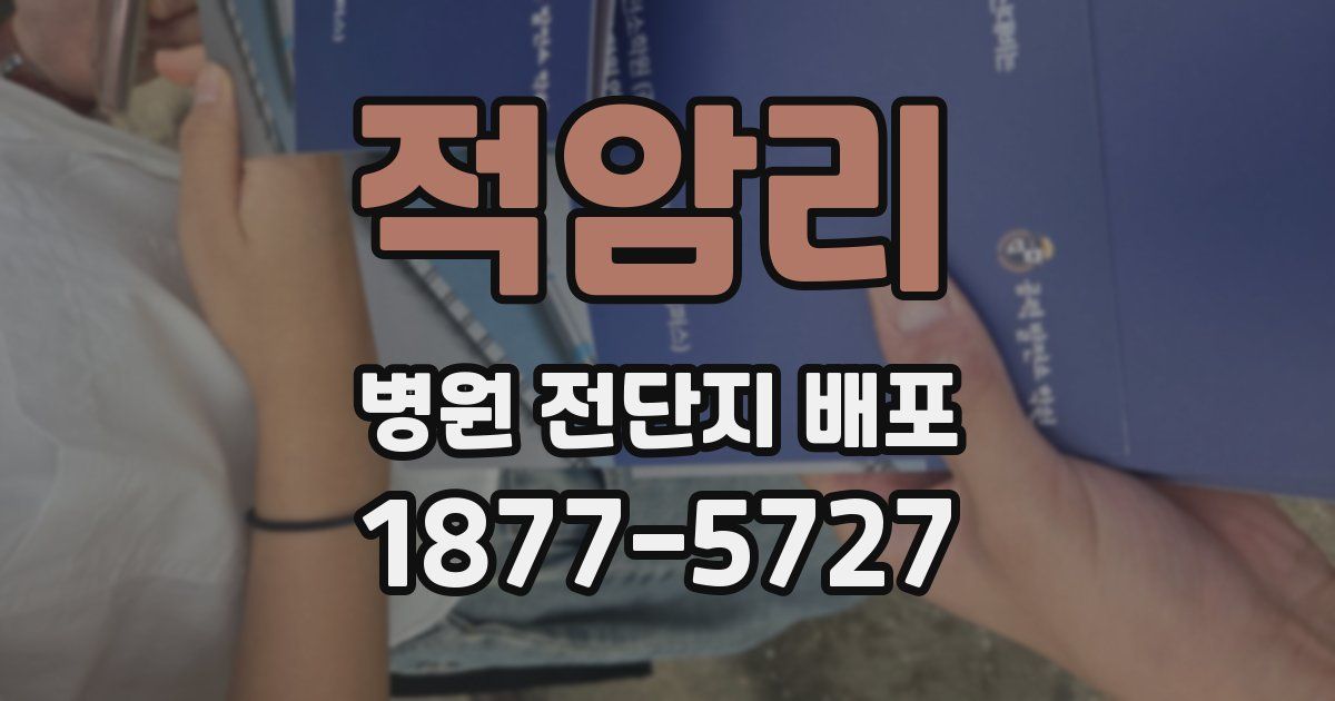 적암리 병원 전단지 배포