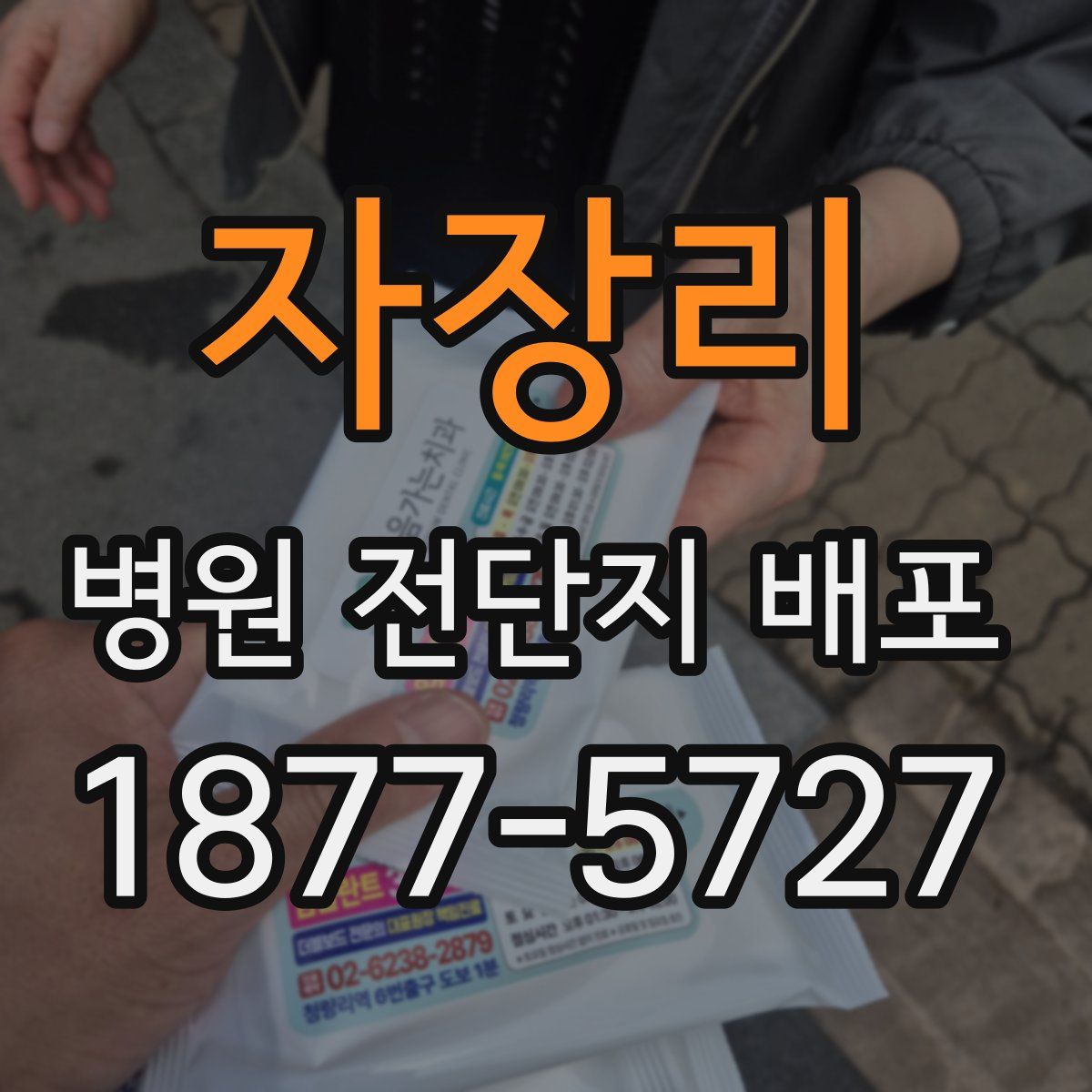 자장리 병원 전단지 배포