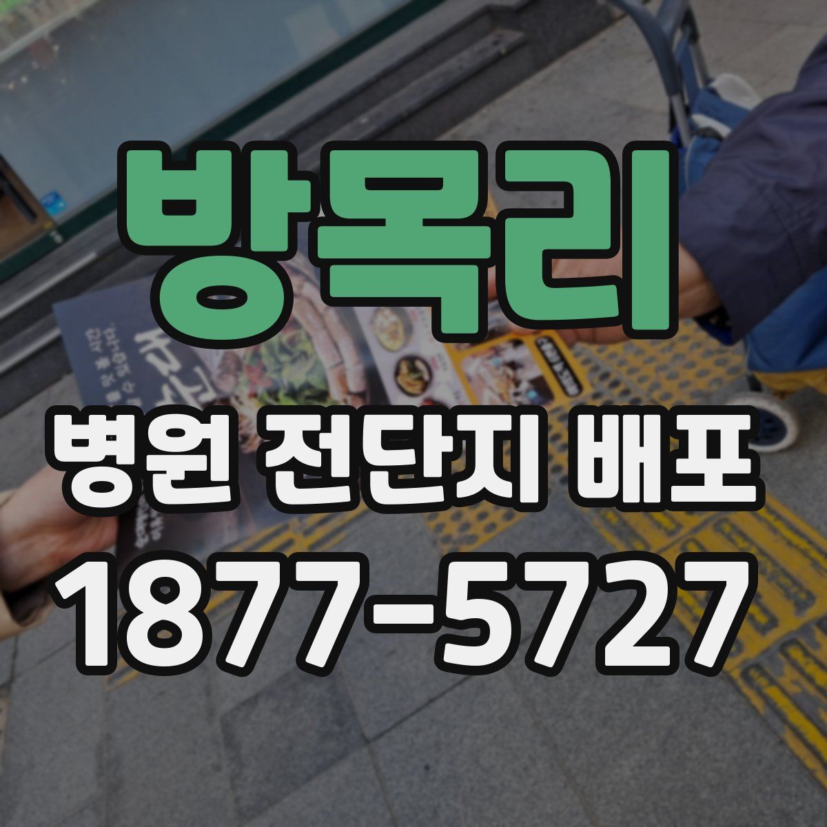 방목리 병원 전단지 배포