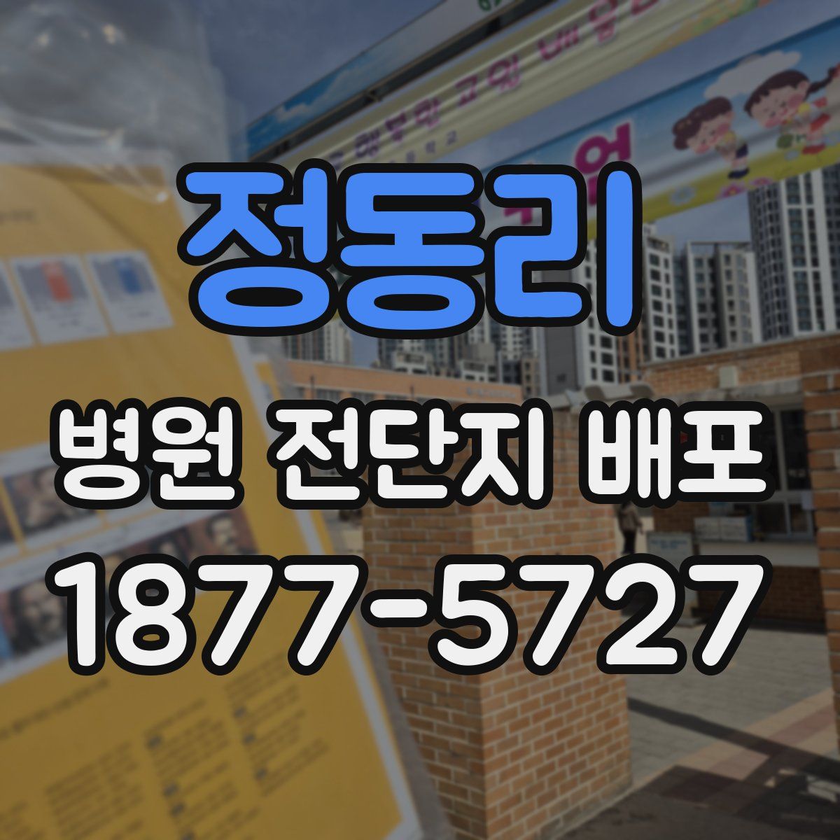정동리 병원 전단지 배포