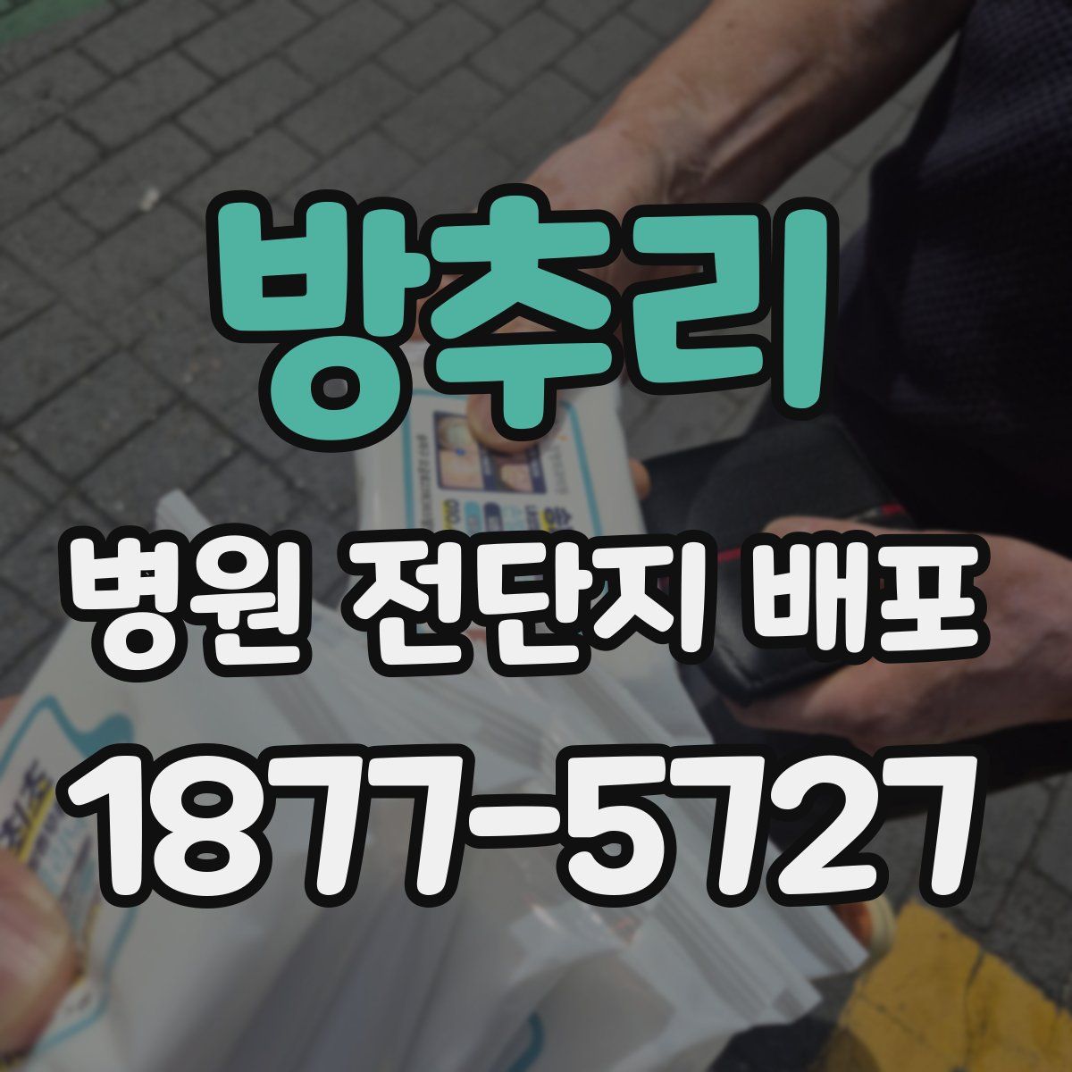 방추리 병원 전단지 배포