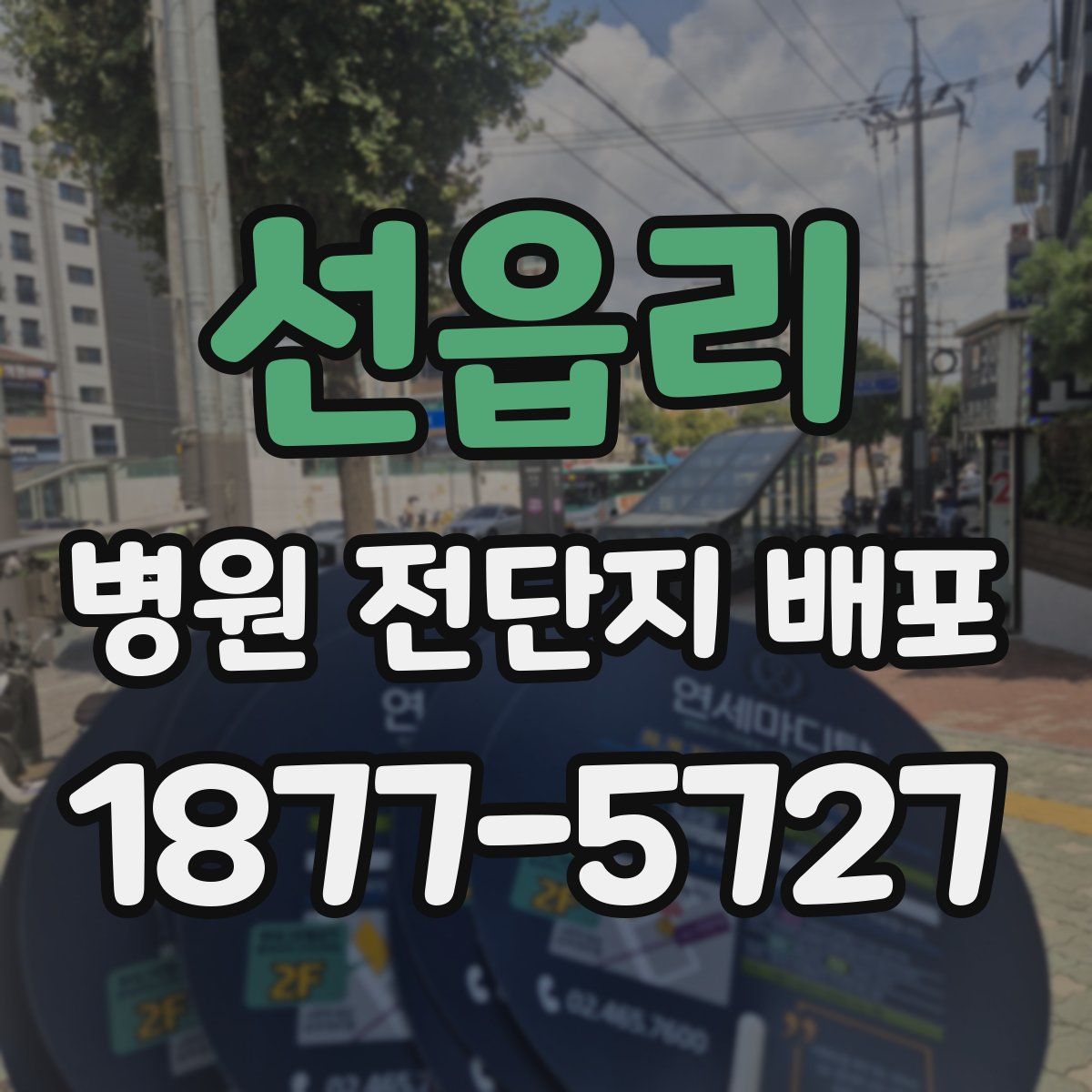 선읍리 병원 전단지 배포