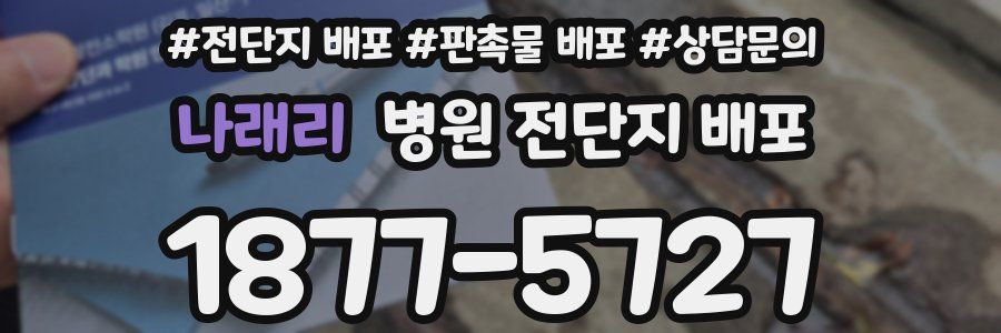 나래리 병원 전단지 배포