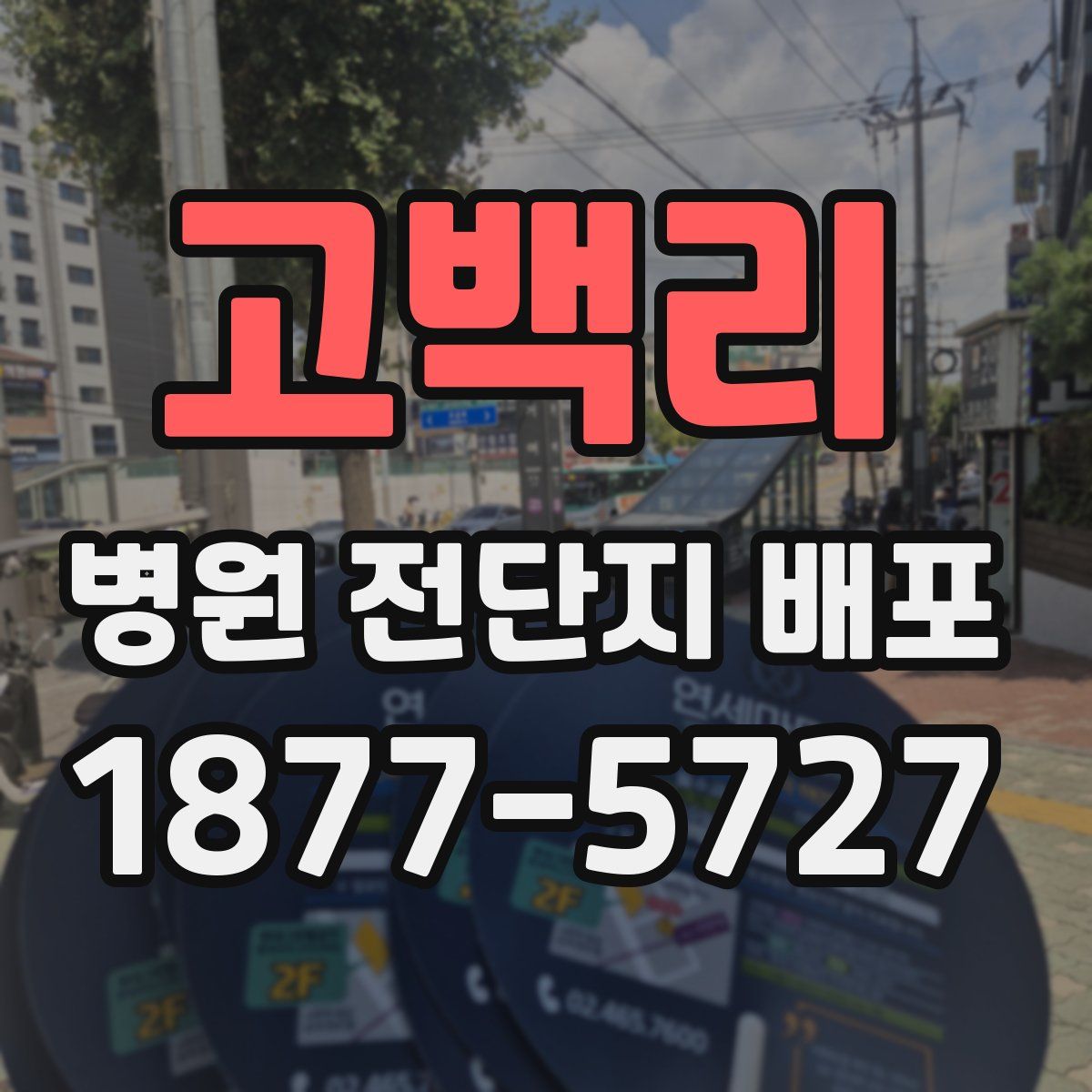 고백리 병원 전단지 배포