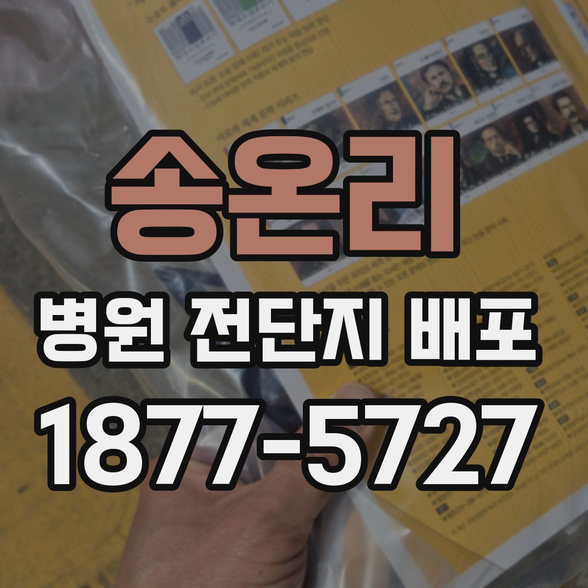 송온리 병원 전단지 배포