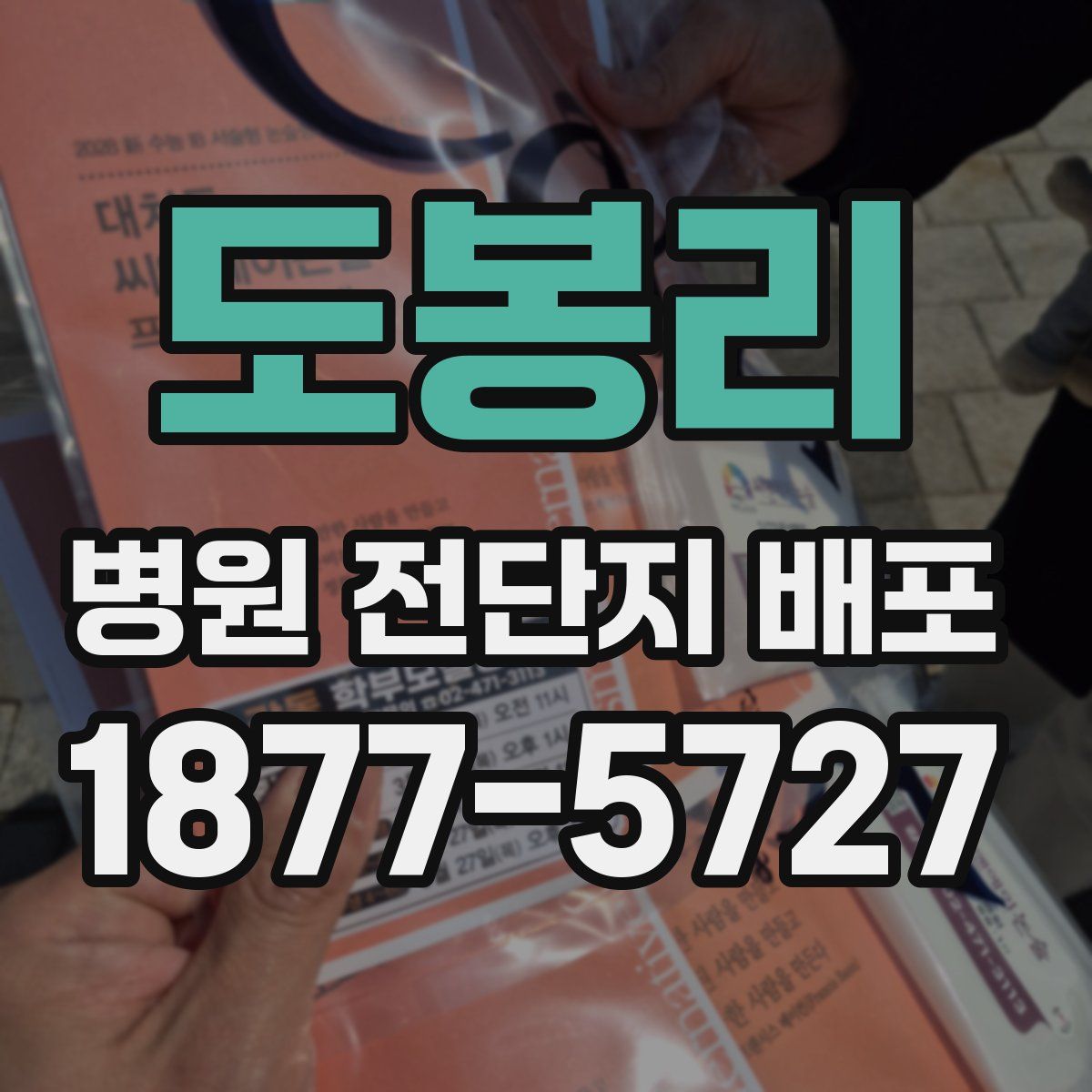 도봉리 병원 전단지 배포